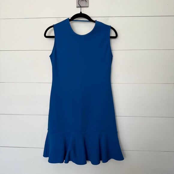 Zara Dresses & Skirts - Zara Women’s Medium Blue Ruffle Mini Dress